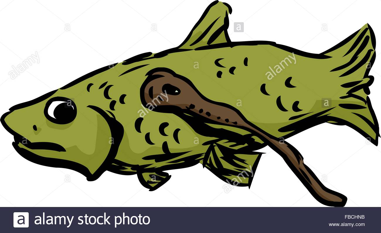 1300x797 Eel Cartoon Illustration Stock Photos Amp Eel Cartoon Illustration