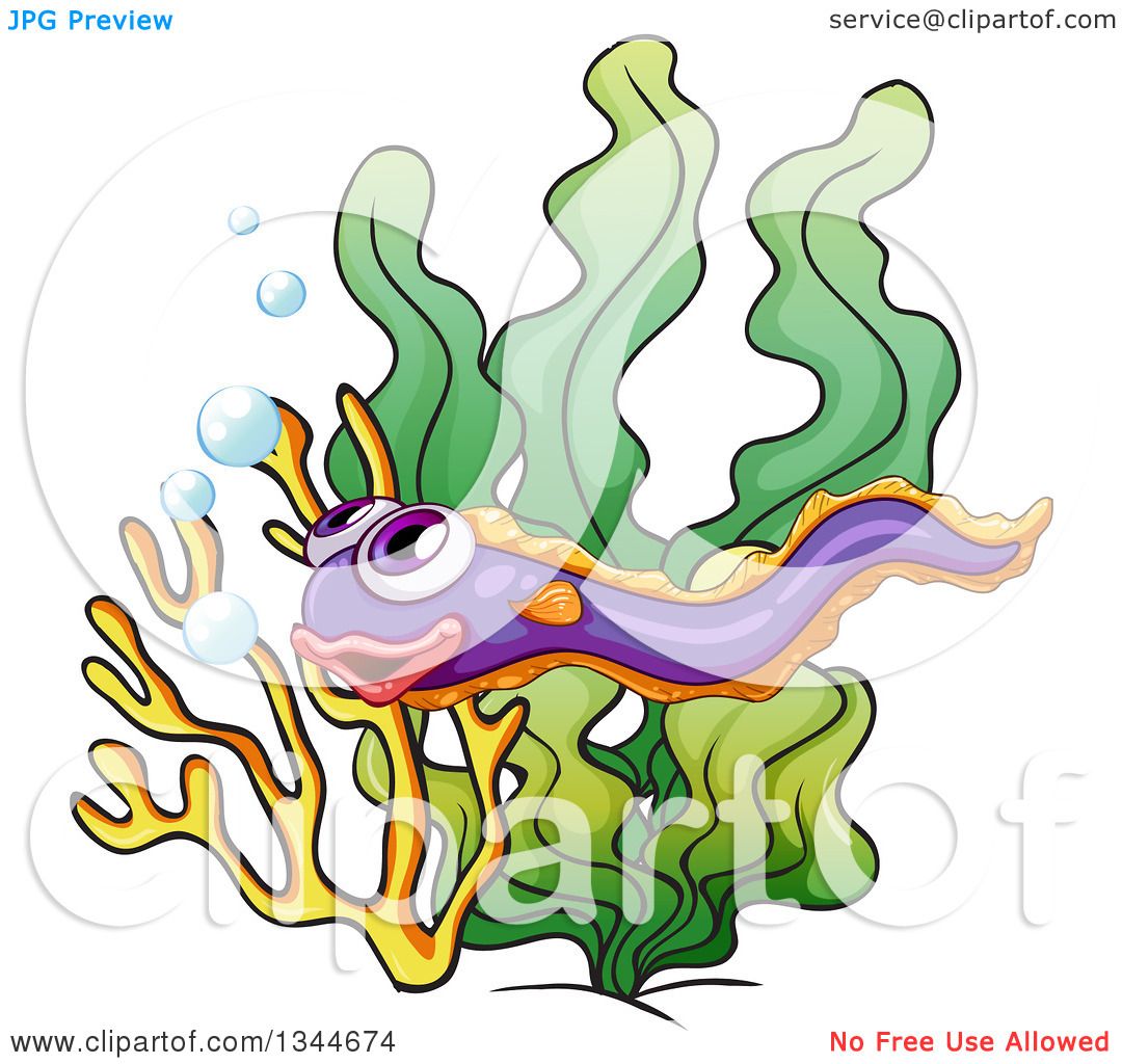 1080x1024 Clipart Of A Happy Eel Over Seaweed And Coral