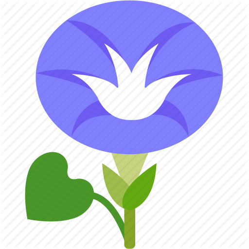512x512 Morning Glory Clipart Garden Flower
