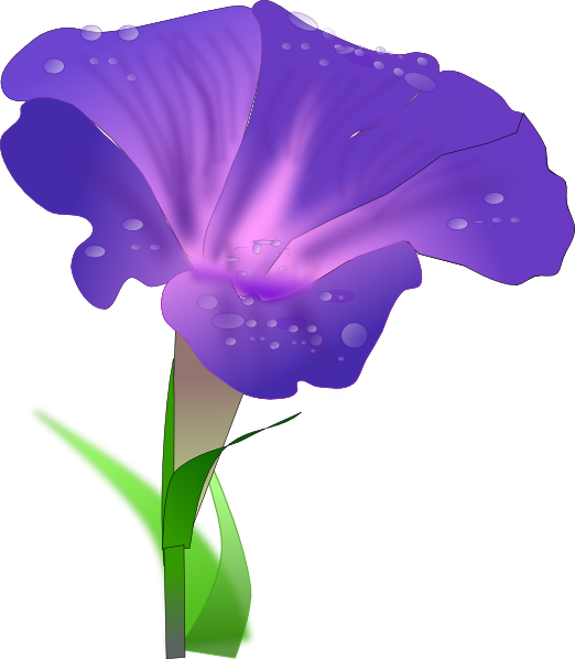 522x598 Morning Glory Flower Clip Art