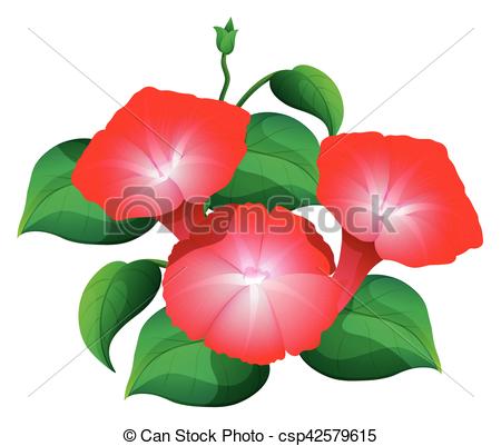 450x401 Morning Glory Flower In Red Color Illustration Vector Clip Art