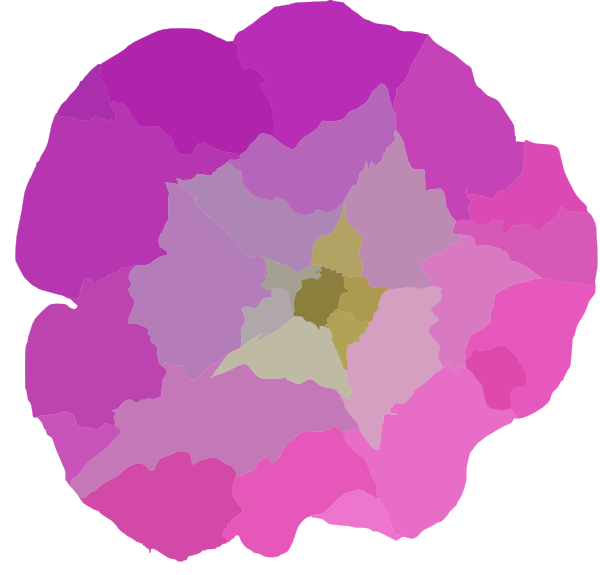 600x575 Pink Glory Flower Clip Art