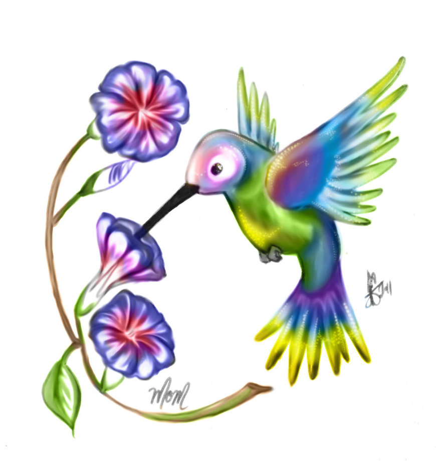 870x919 Humming Bird And Morning Glory By Thetepster