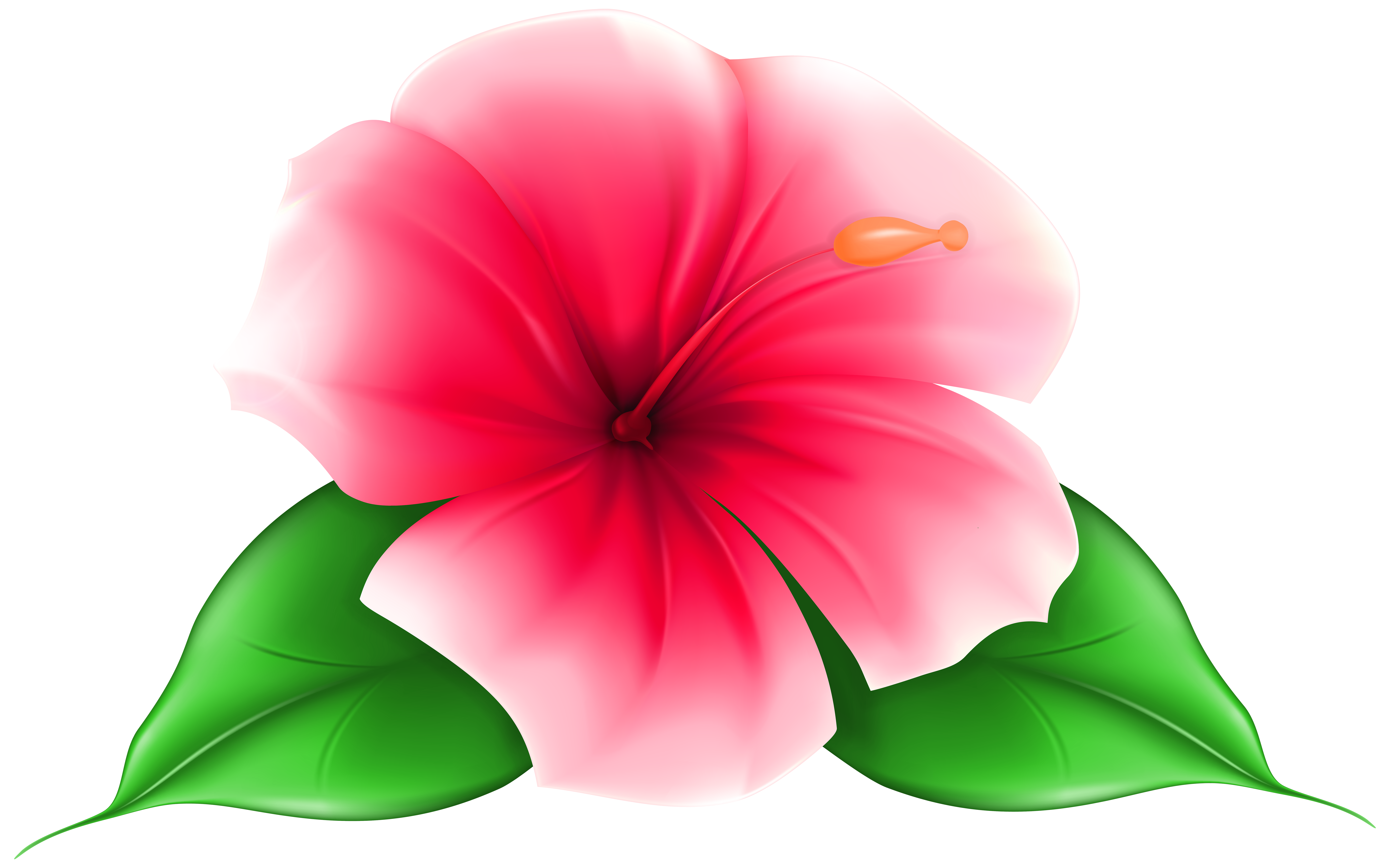 7000x4371 Exotic Flower Png Clip Art Imageu200b Gallery Yopriceville