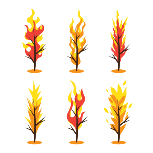 490x490 Burning Bush Vector
