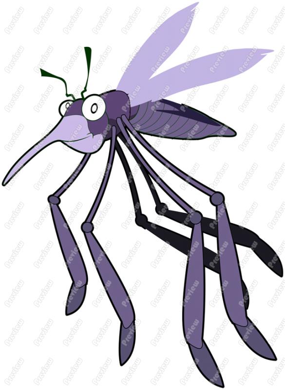 585x800 Mosquito Character Clip Art