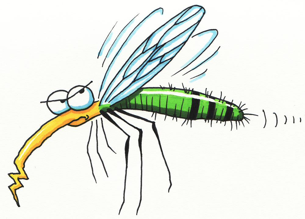 1000x717 Mosquito Clip Art Images Clipart Panda
