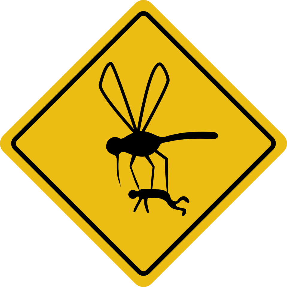 958x958 Public Domain Clip Art Image Mosquito Hazard Id