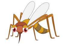 210x153 Search Results For Mosquito