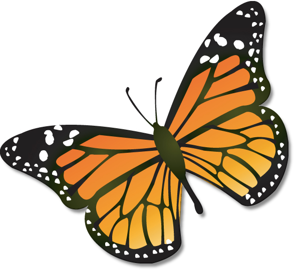 587x539 Butterfly Clipart Line Art