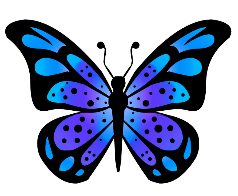 788x650 Butterfly Images Clip Art
