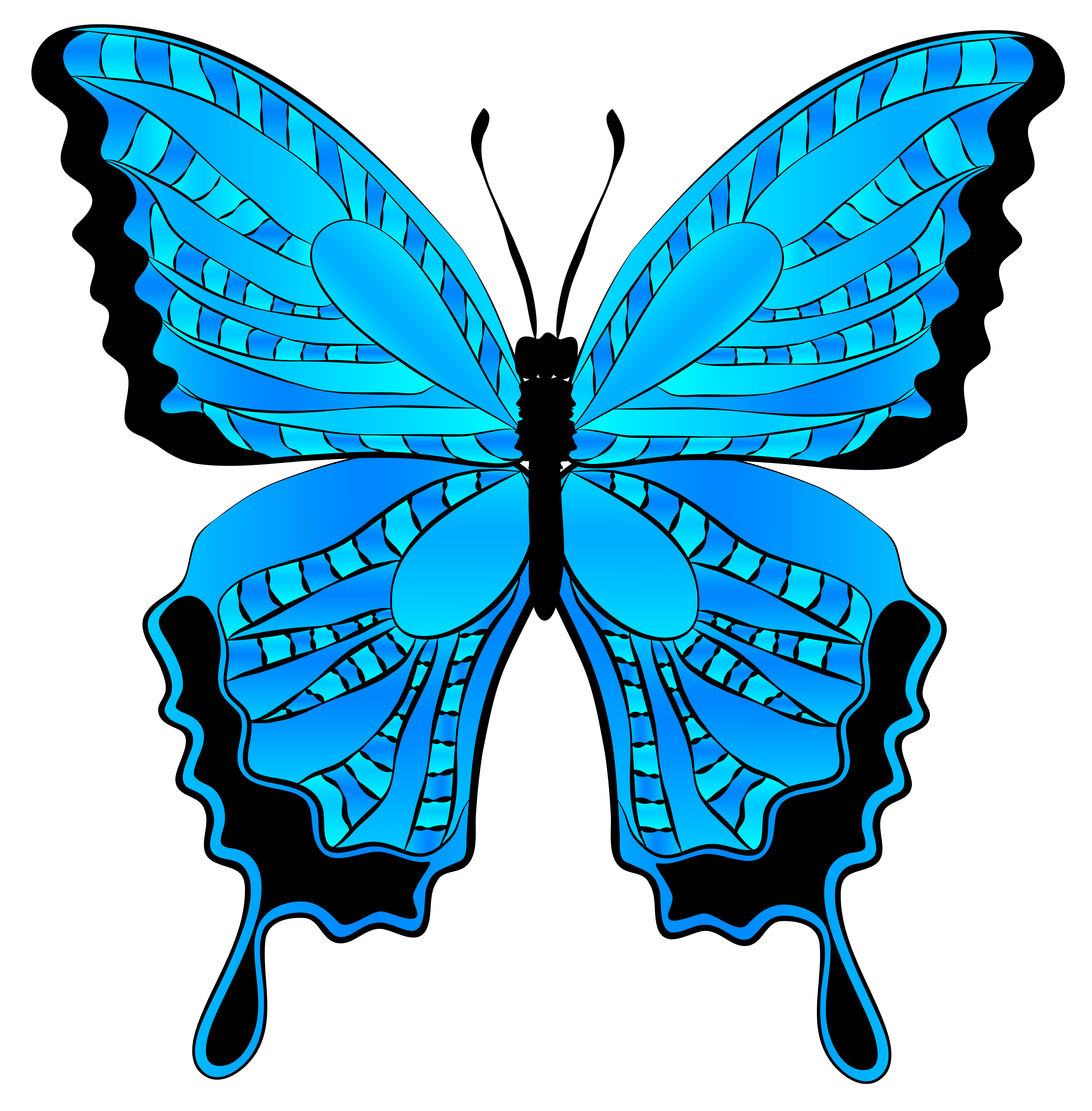 6117x6224 Clip Art Blue Butterfly Clip Art