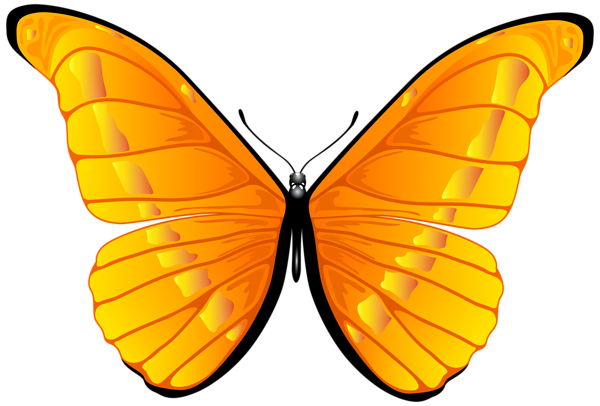 600x406 Clipart Butterfly Butterflies Clipart Art Images