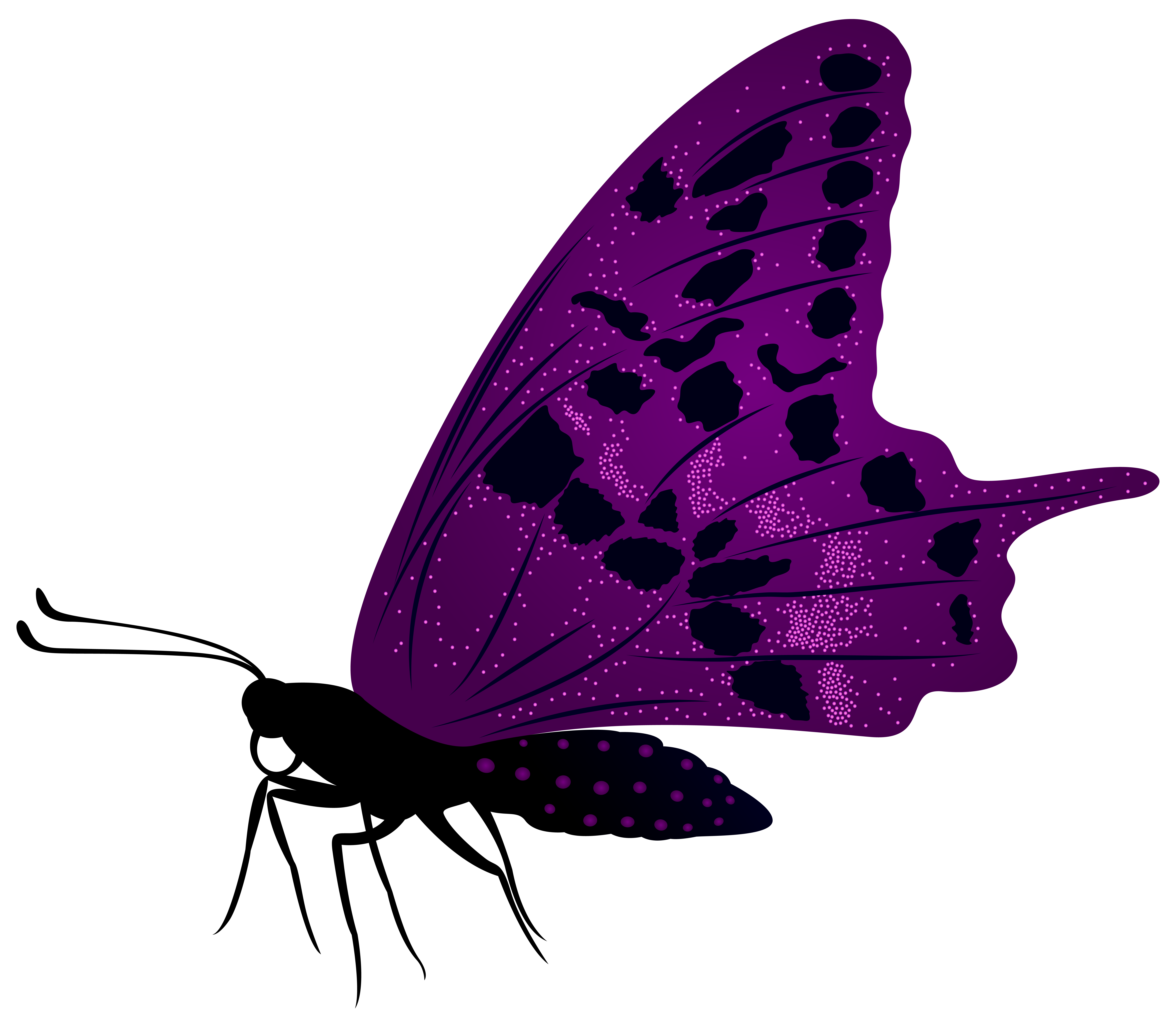 7917x6851 Large Purple Butterfly Png Clip Art Imageu200b Gallery Yopriceville