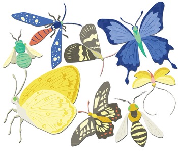 350x298 Bees Butterflies Moths, Butterfly Clipart, Insect Clipart, Bug Clipart