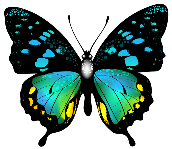 600x519 Blue Colorful Butterfly Png Clip Art Image Graphics