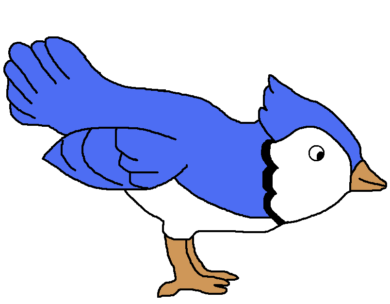804x626 Blue Jay Clipart Angry