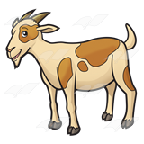 160x160 Clipart Goat