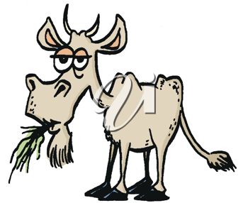 350x286 Picture Of A Goat Chewing On Grass In A Vector Clip Art