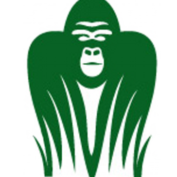 364x364 Gorilla Budgeting Pricing G2 Crowd