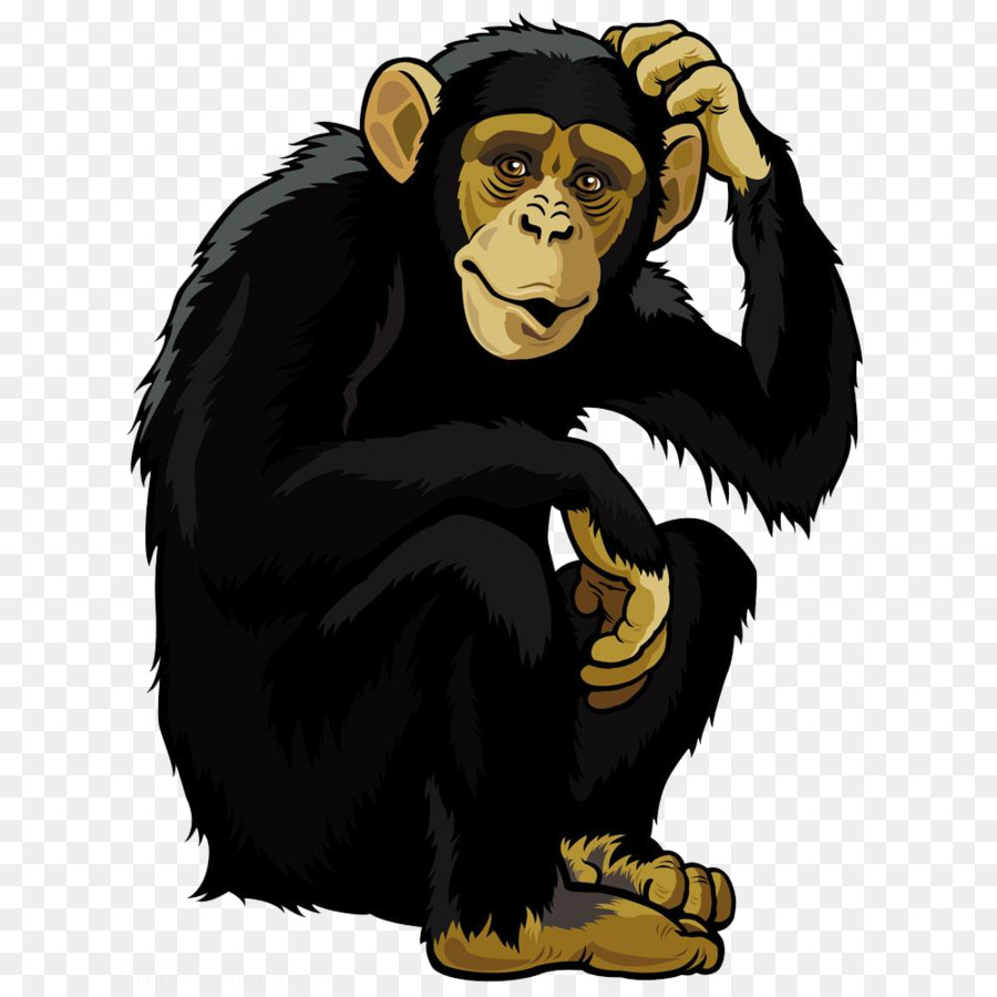 900x900 Orangutan Monkey Chimpanzee Clip Art