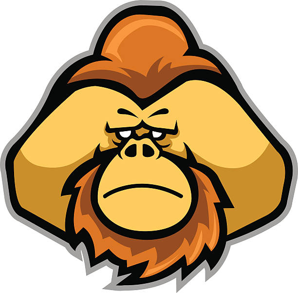 612x601 Orangutan Clipart Head