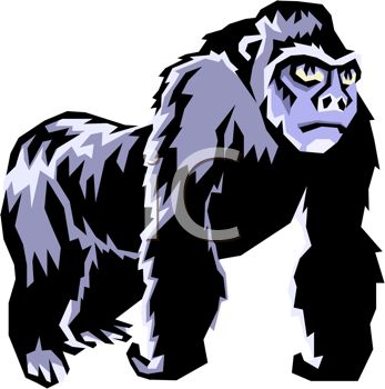 347x350 Picture Of A Gorilla Standing On A White Background In A Vector