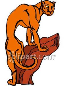 225x300 Mountain Lion Climbing A Tree