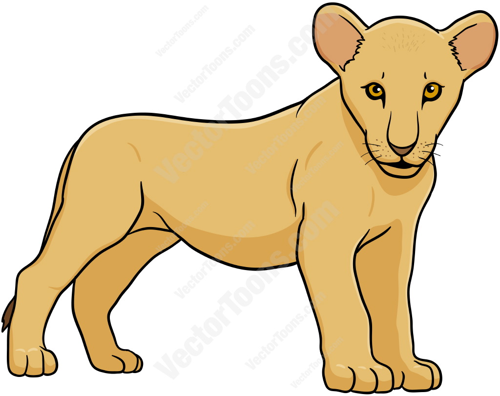1024x811 Mountain Lion Clipart Female Lion