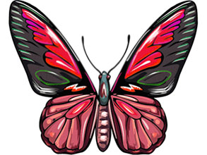 293x220 Animated Butterfly Clipart Free