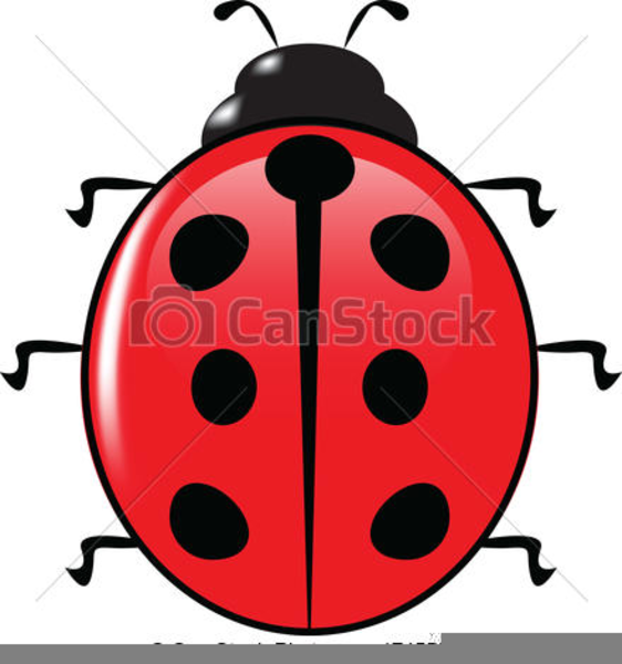 562x600 Free Clipart Ladybird Free Images