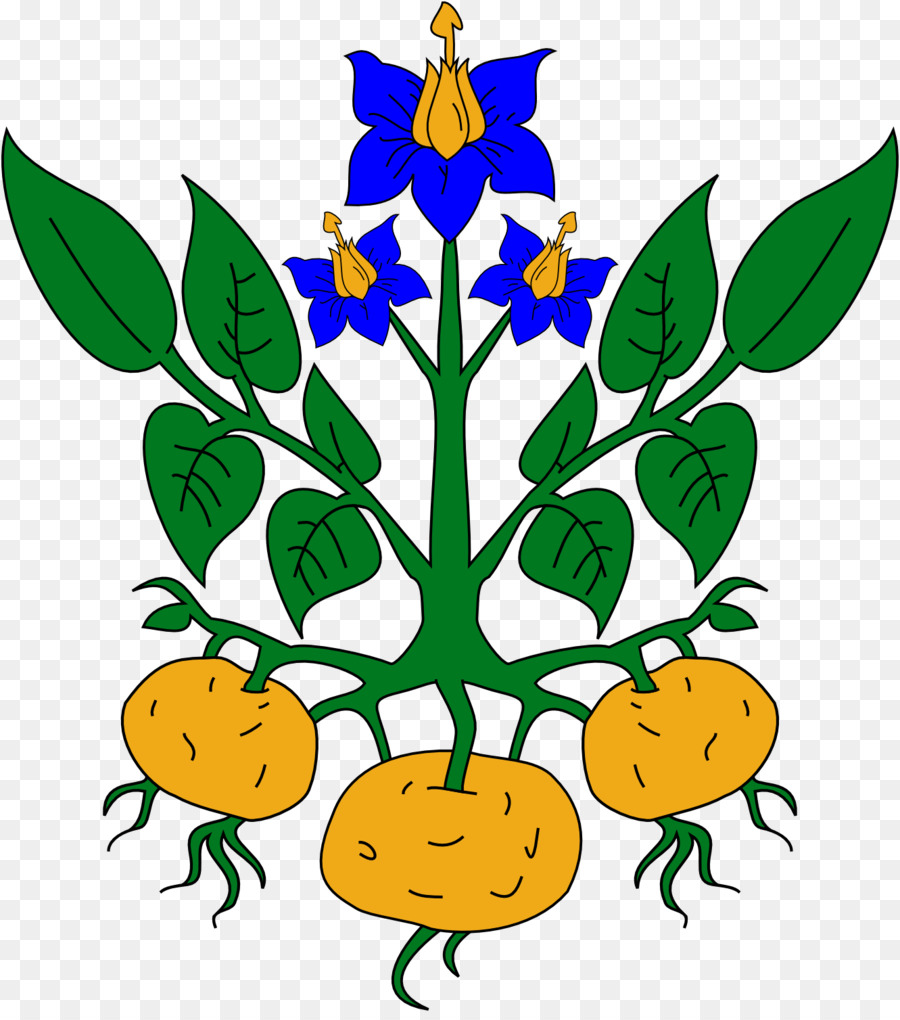 900x1020 Potato Plant Clipart