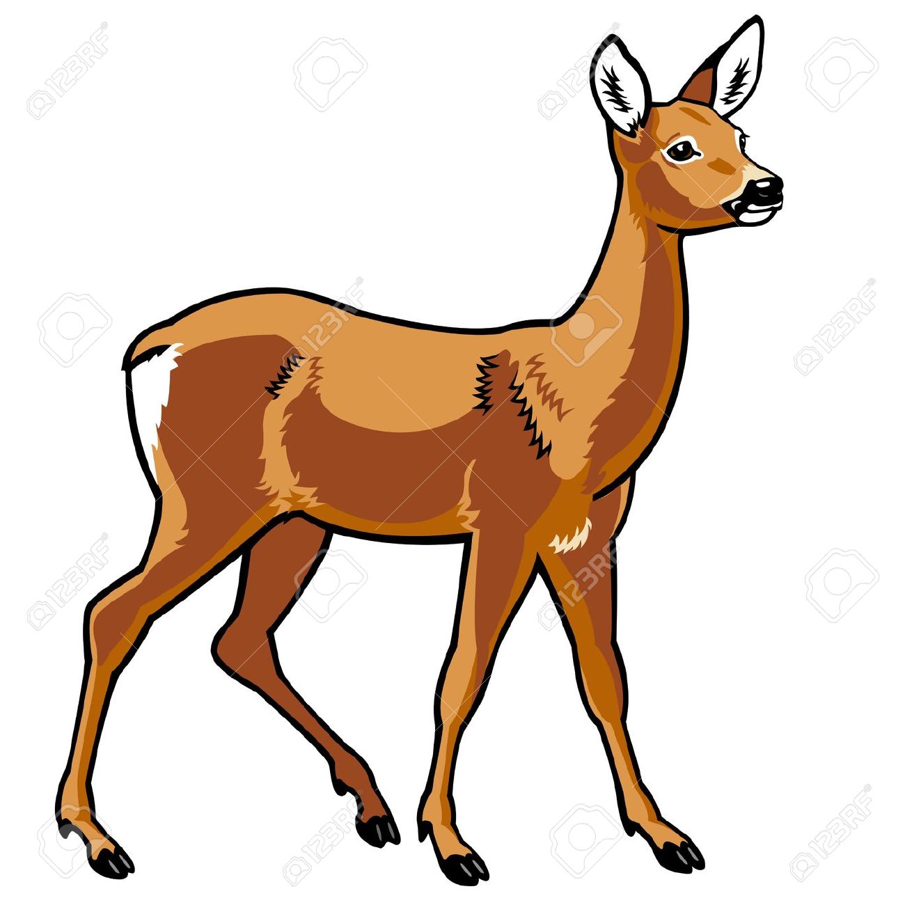 1300x1300 Doe Clipart