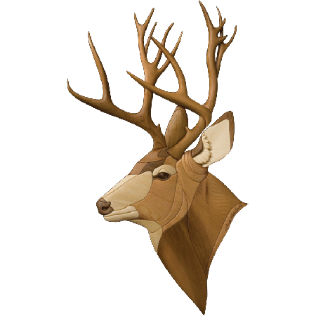 450x450 I 278 Mule Deer.png Elephant Mule Deer