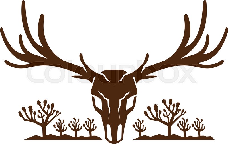 800x504 Icon Style Illustration Of Mule Deer Skull Viewed From Front