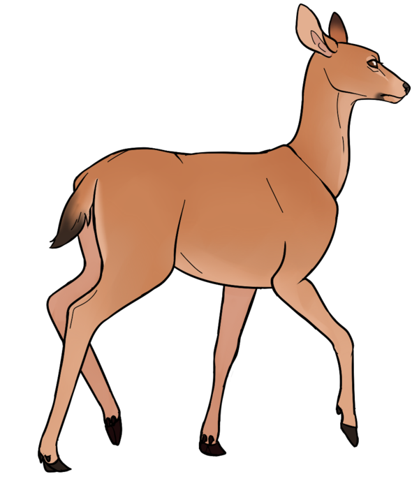 600x686 Mule Doe By Kajuale