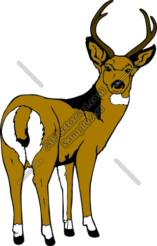 320x500 Muledeer Clipart And Vectorart Sports
