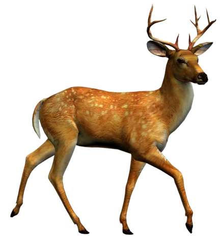 432x480 Pin By Blondie On Blondie's Woodland Creatures