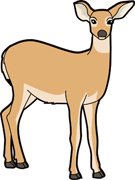 135x180 Collection Of Mule Deer Clipart High Quality, Free Cliparts