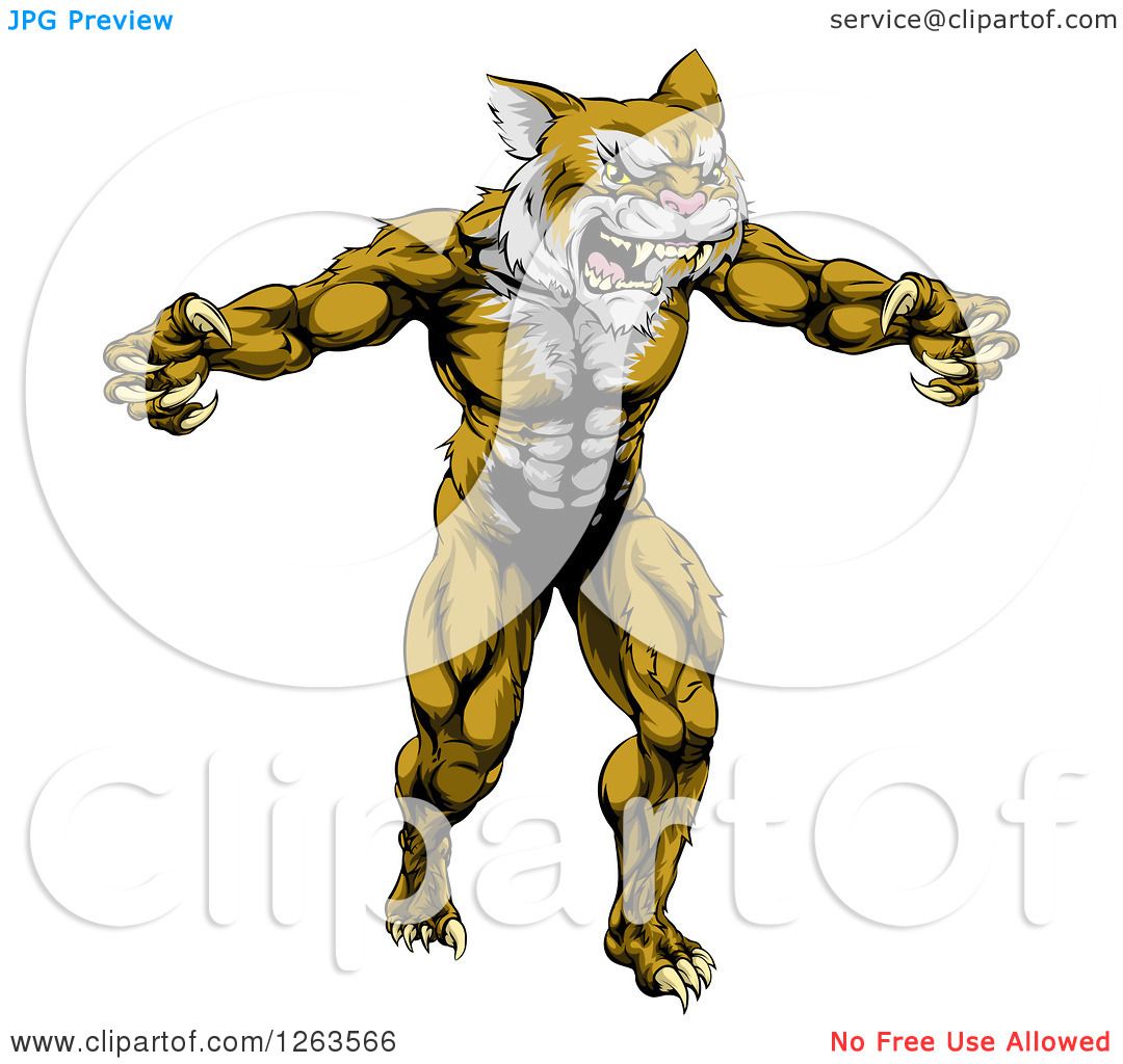 1080x1024 Clipart Of A Muscular Fierce Wildcat Man Attacking
