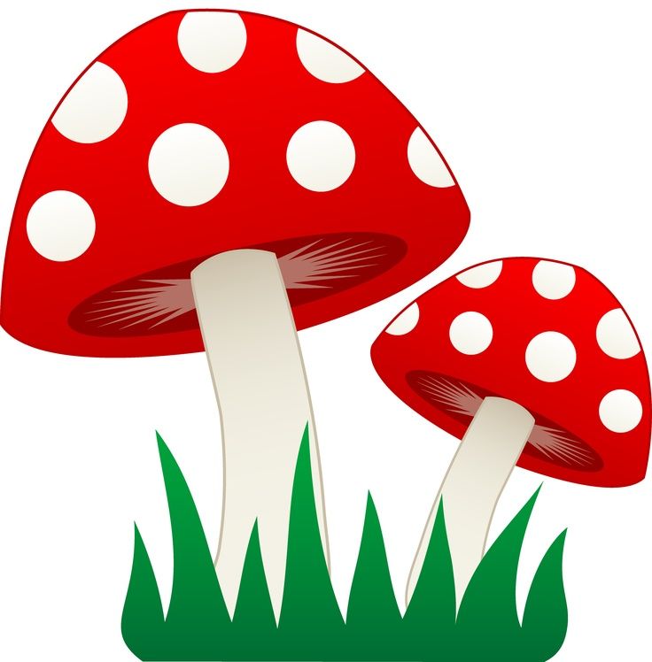 736x748 Mushroom Clipart Gnome Birthday For E Mushrooms ~t