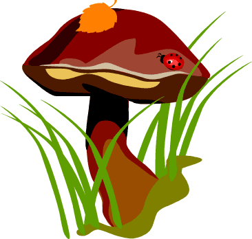 366x348 Mushroom With Ladybug. Aplike Ladybug, Clip Art