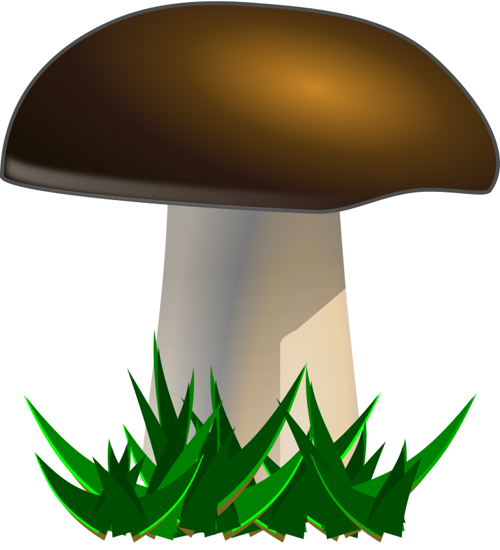 728x800 Mushroom Clipart Collection