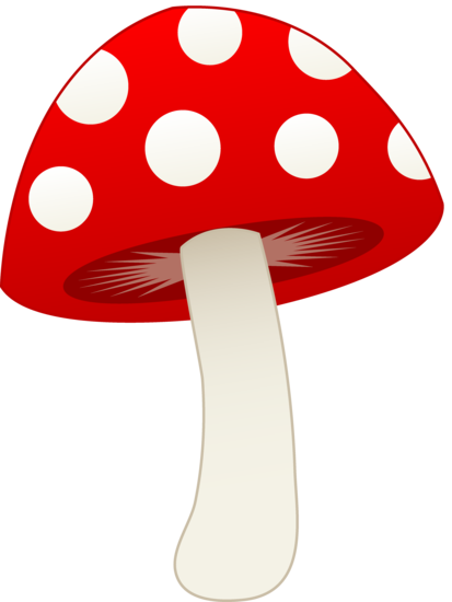 413x550 Red And White Mushroom