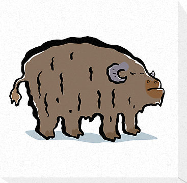 367x360 Musk Ox Cartoon