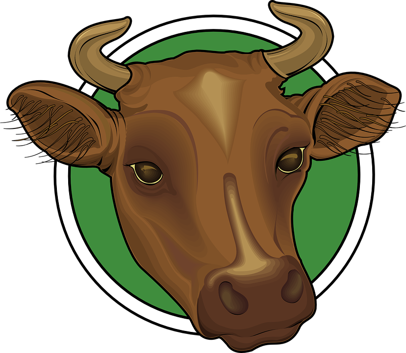 828x720 Ox Clipart Head