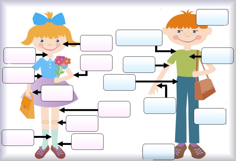 782x533 Collection Of My Body Clipart Png High Quality, Free