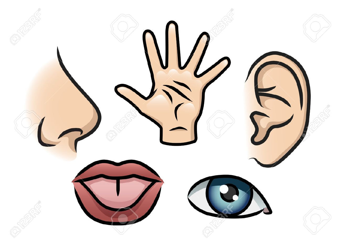 1300x942 My 5 Senses Clipart