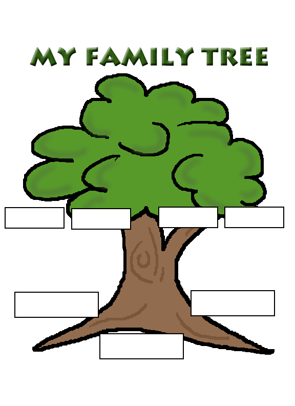 576x792 Family Tree Clip Art Img Png