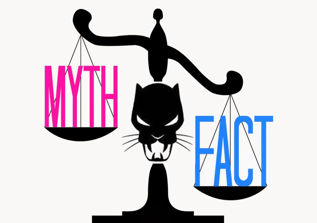 1074x758 Black Panther Discussion And Appreciation Black Panther Myth